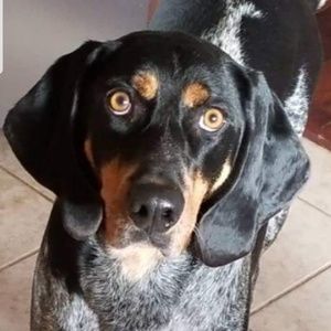 Meet your Posher, Meredith